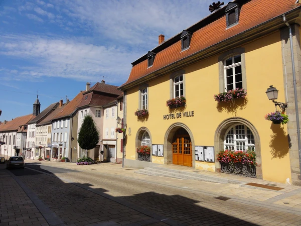 Vue panoramique de la ville de Sarre-Union montrant son centre-ville avec ses bâtiments caractéristiques, ses rues principales et son environnement urbain local. Photo claire et professionnelle capturée de jour, représentant authentiquement la localité et ses traits architecturaux distinctifs, depuis une perspective qui met bien en évidence la géographie et le paysage urbain de la commune.